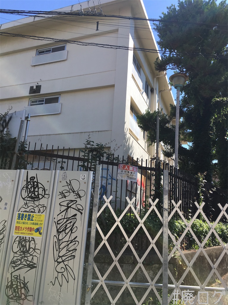 f:id:hiyapa:20180621214137j:image