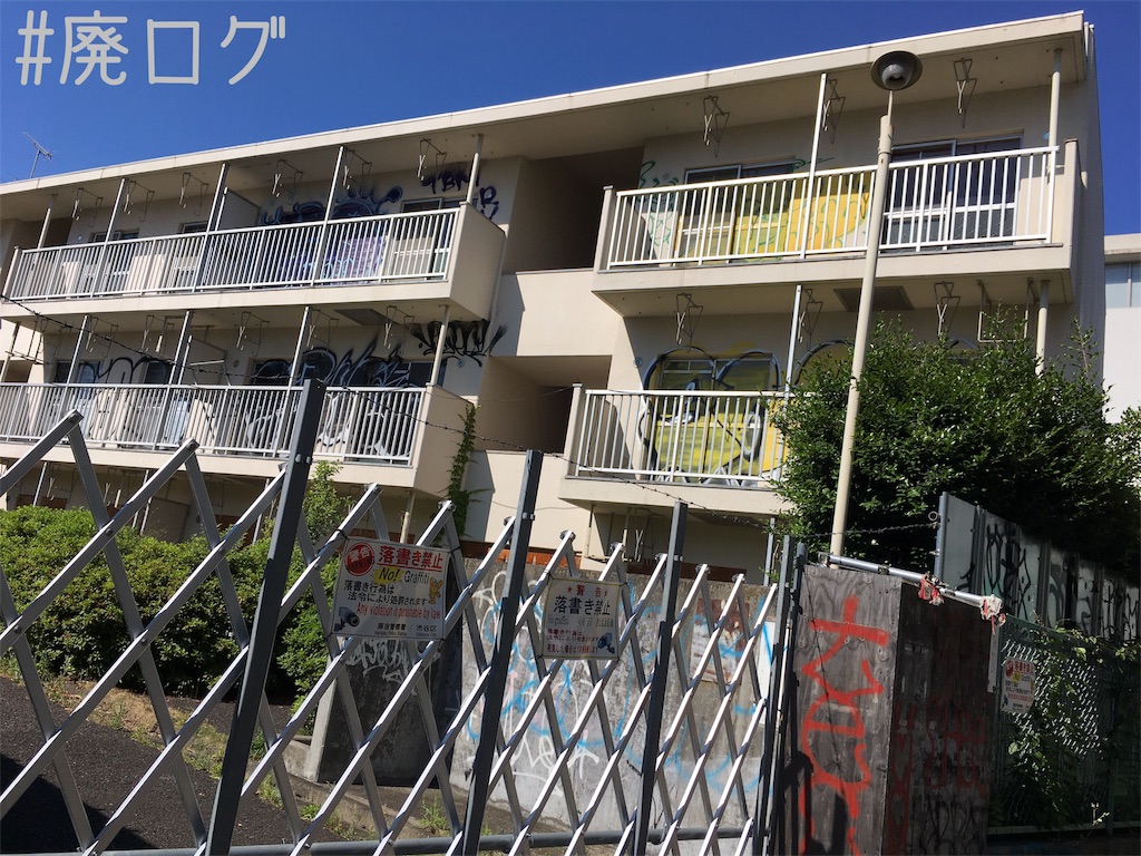 f:id:hiyapa:20180621214146j:image