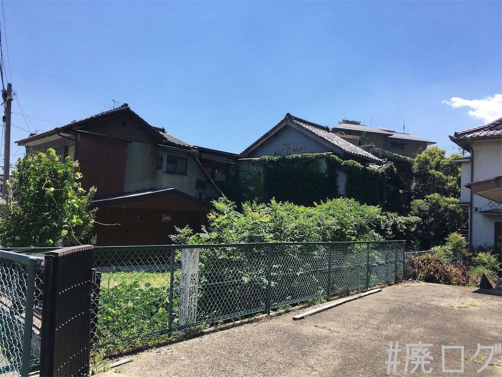 f:id:hiyapa:20180803203323j:image