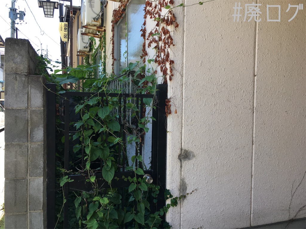 f:id:hiyapa:20180803215252j:image