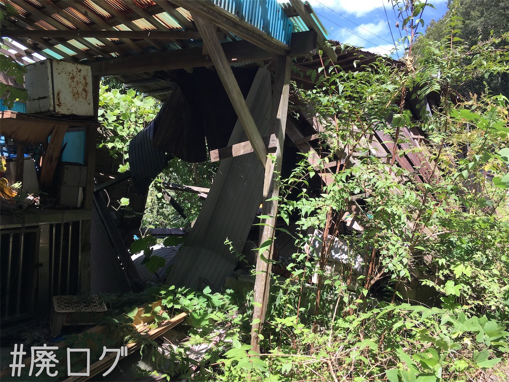 f:id:hiyapa:20180917202328j:image