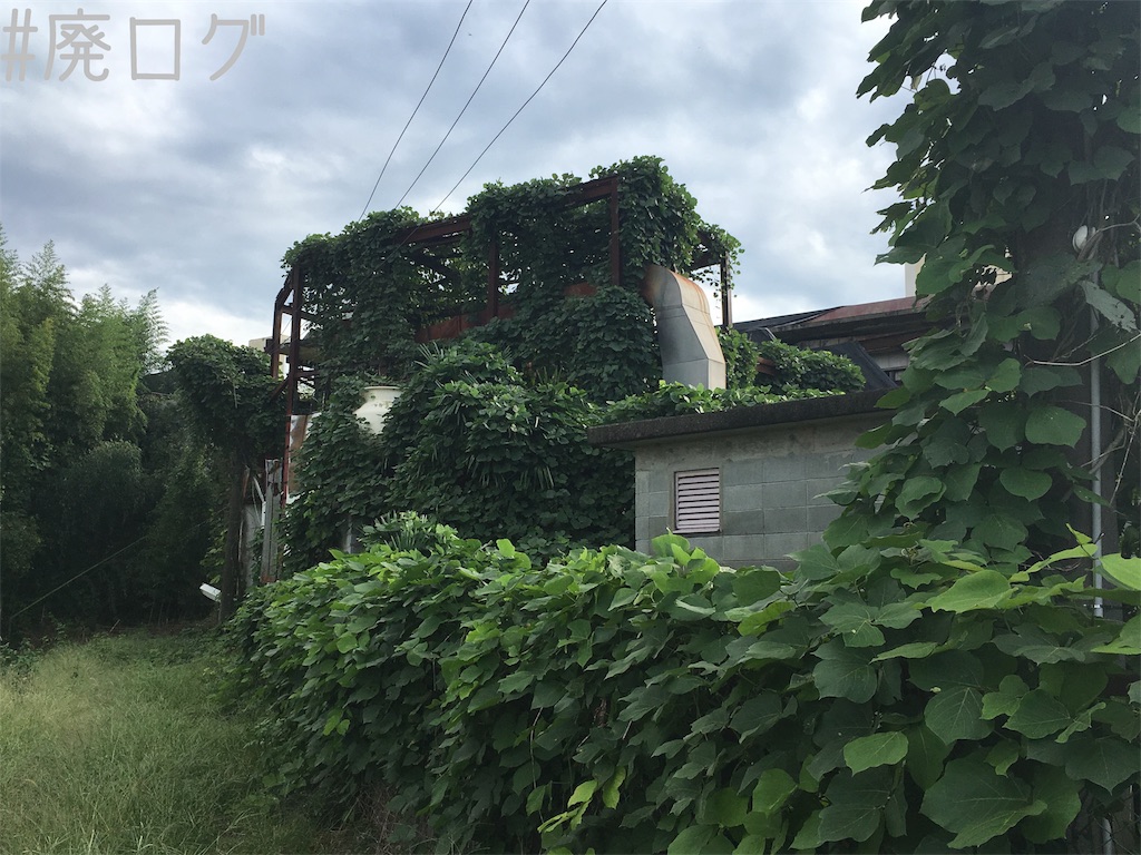 f:id:hiyapa:20181006221931j:image