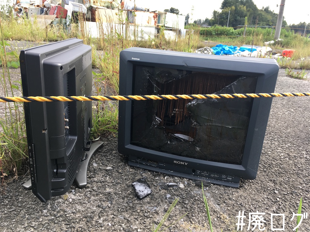 f:id:hiyapa:20181006221937j:image