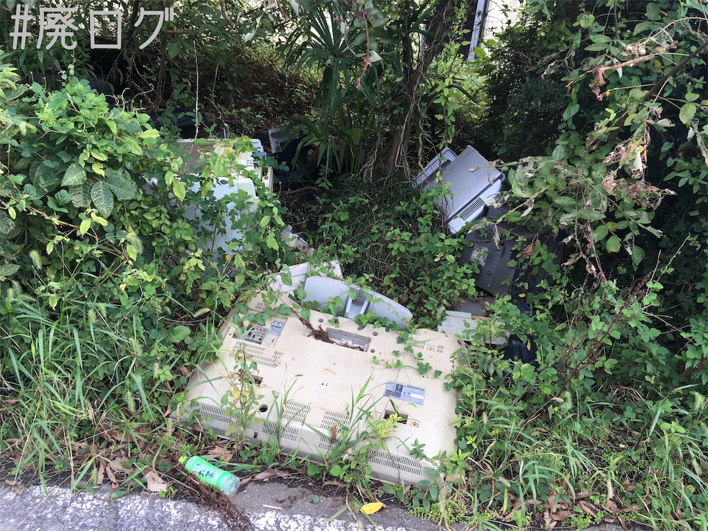 f:id:hiyapa:20181006221953j:image