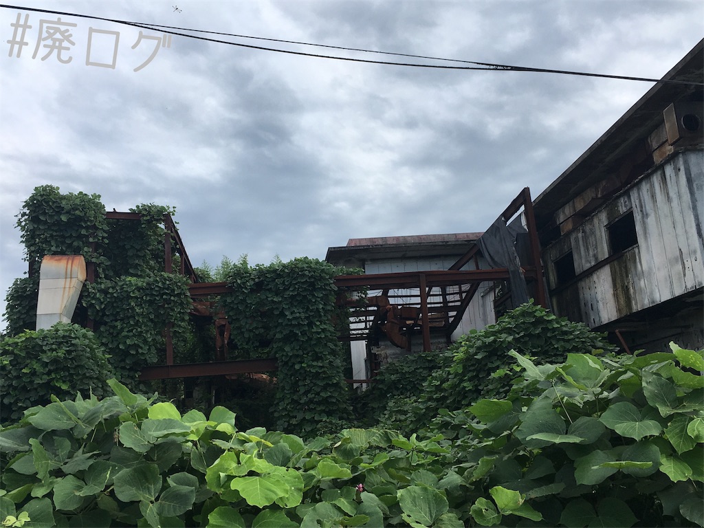 f:id:hiyapa:20181006222148j:image