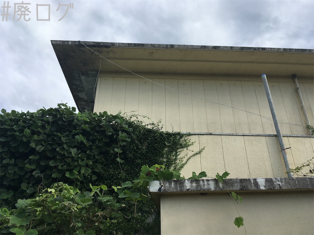 f:id:hiyapa:20181006222154j:image