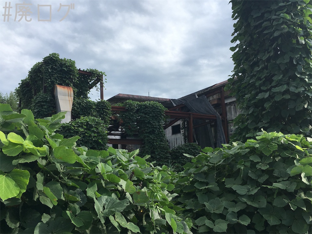 f:id:hiyapa:20181006222157j:image