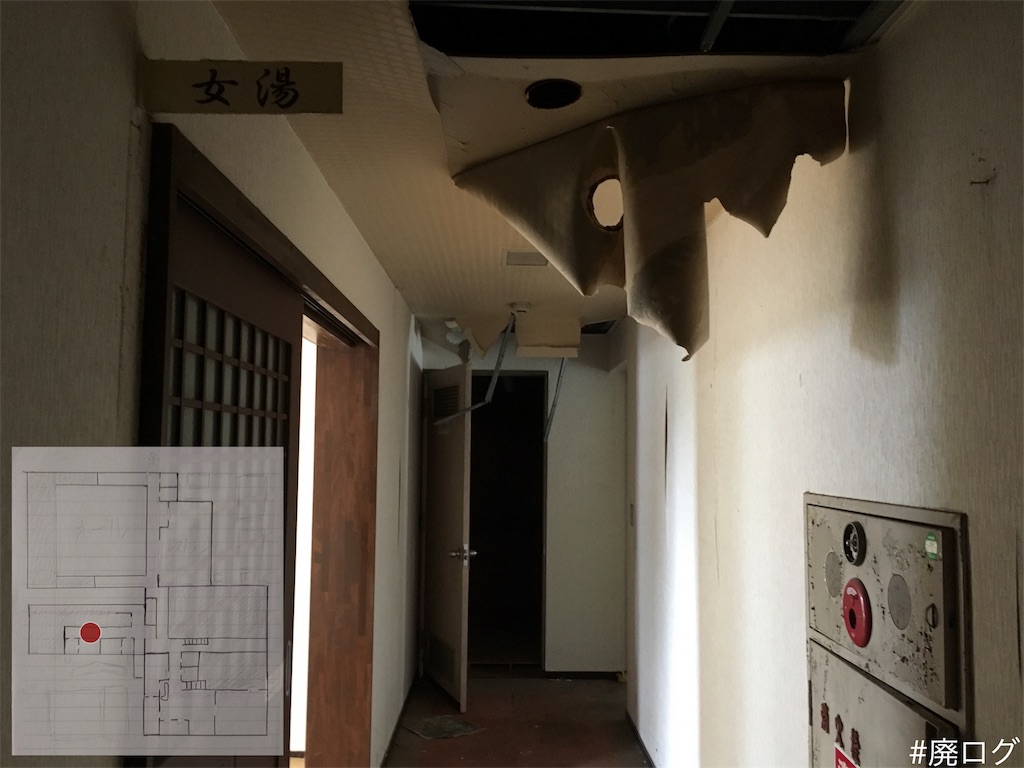 f:id:hiyapa:20181021133339j:image