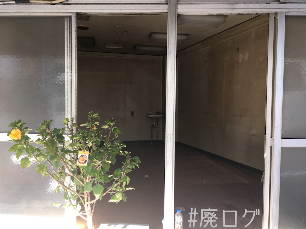 f:id:hiyapa:20181201213833j:image