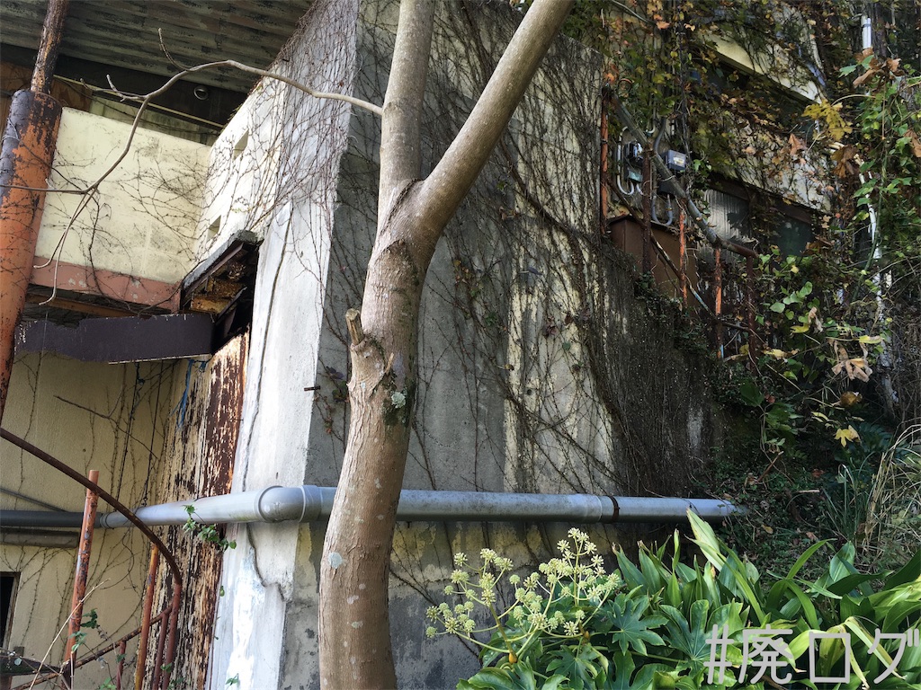 f:id:hiyapa:20181218230129j:image f:id:hiyapa:20181218230129j:image