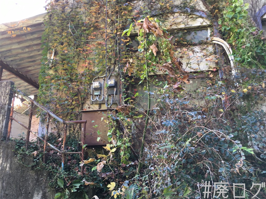 f:id:hiyapa:20181218230244j:image f:id:hiyapa:20181218230244j:image