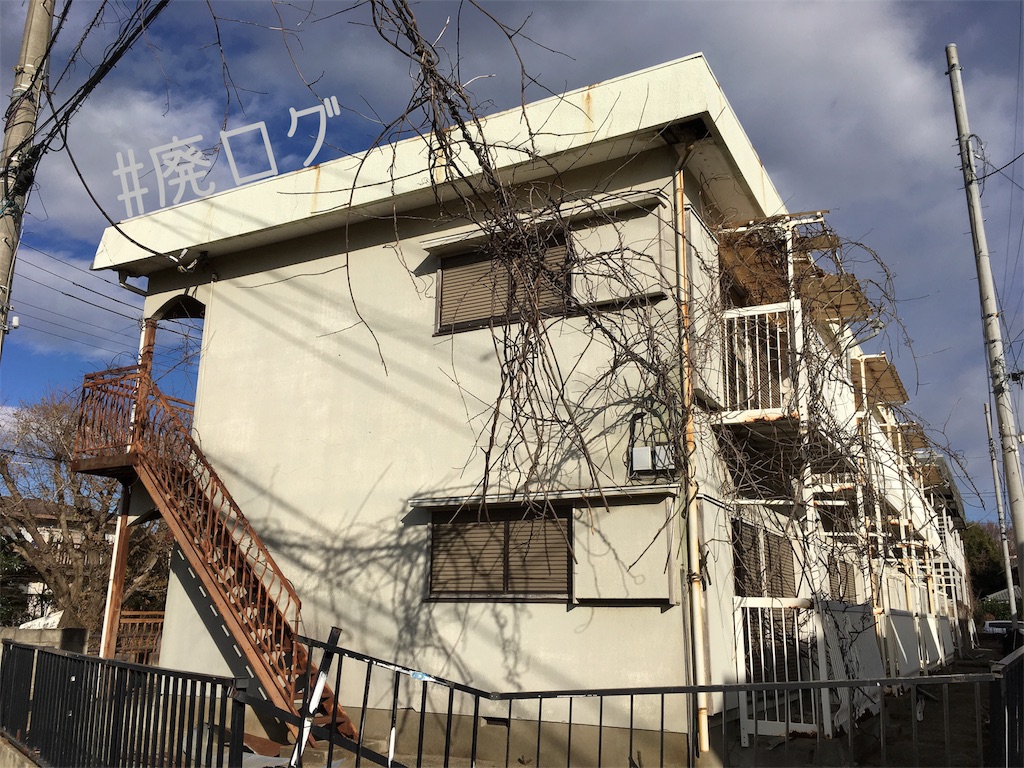 f:id:hiyapa:20190110214126j:image