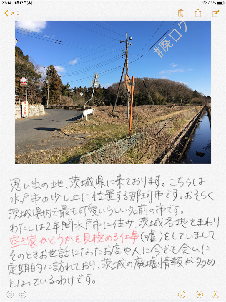 f:id:hiyapa:20190117232351p:image