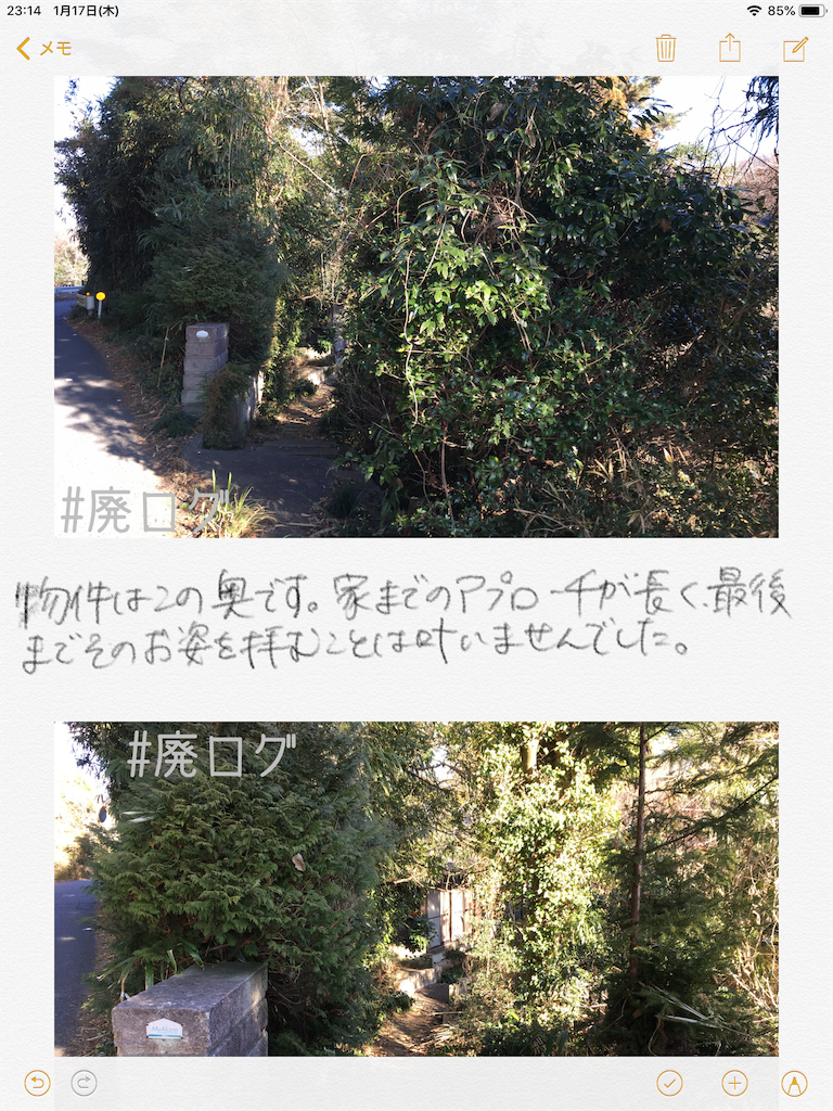 f:id:hiyapa:20190117232404p:image