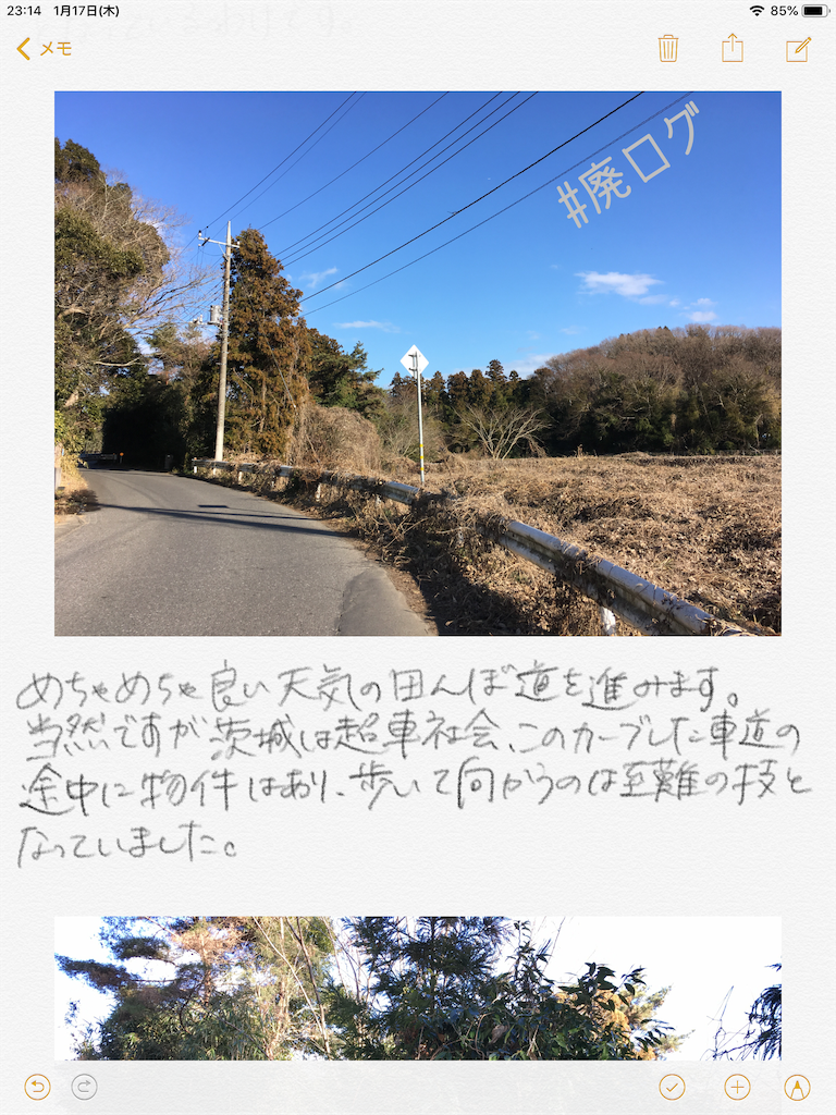 f:id:hiyapa:20190117232410p:image