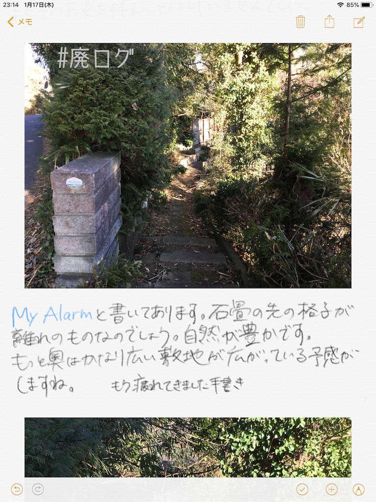 f:id:hiyapa:20190117232520p:image