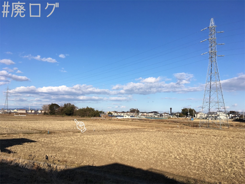 f:id:hiyapa:20190120193402j:image f:id:hiyapa:20190120193402j:image