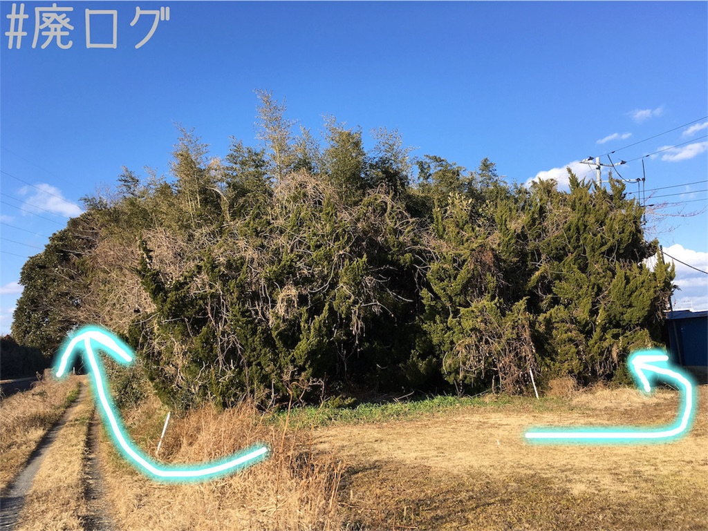 f:id:hiyapa:20190120193406j:image f:id:hiyapa:20190120193406j:image