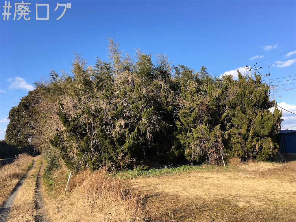 f:id:hiyapa:20190120193409j:image f:id:hiyapa:20190120193409j:image