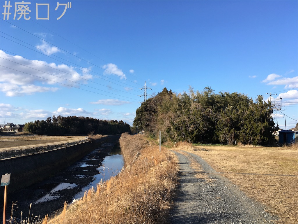 f:id:hiyapa:20190120193413j:image f:id:hiyapa:20190120193413j:image