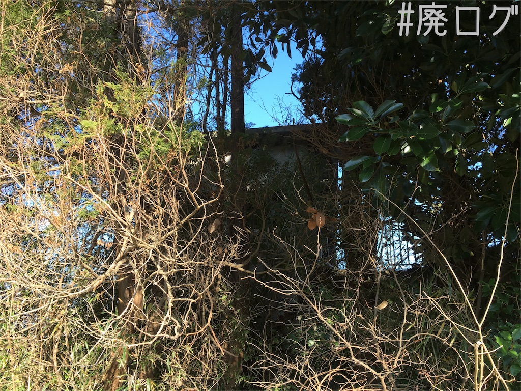 f:id:hiyapa:20190120194738j:image f:id:hiyapa:20190120194738j:image