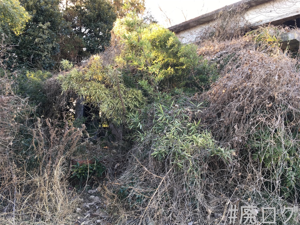 f:id:hiyapa:20190120195805j:image f:id:hiyapa:20190120195805j:image
