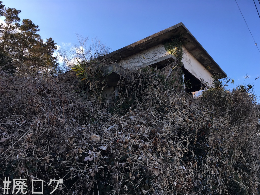 f:id:hiyapa:20190120195809j:image f:id:hiyapa:20190120195809j:image