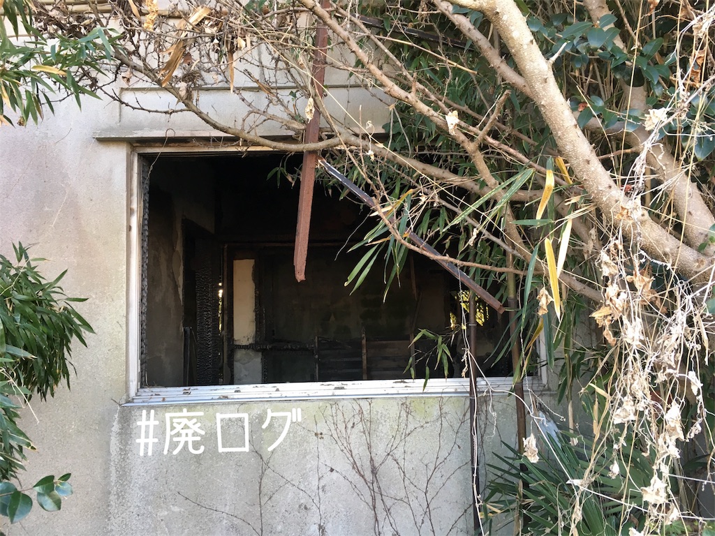 f:id:hiyapa:20190120200320j:image f:id:hiyapa:20190120200320j:image