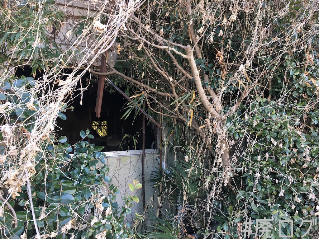 f:id:hiyapa:20190120200327j:image f:id:hiyapa:20190120200327j:image