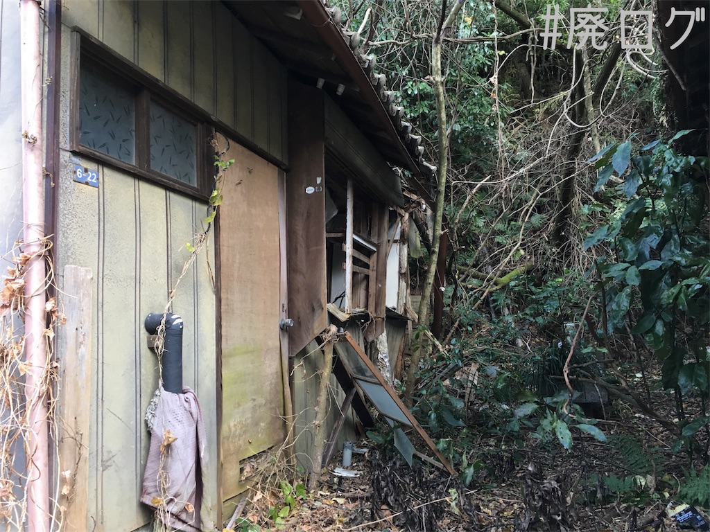 f:id:hiyapa:20190123225903j:image