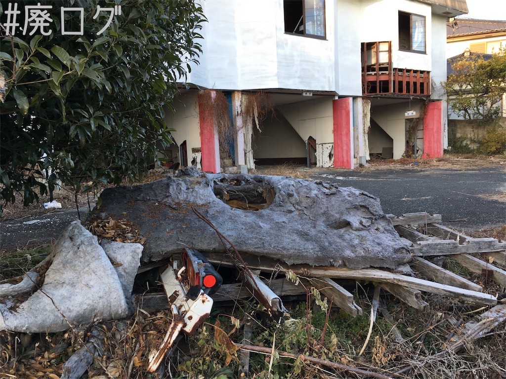 f:id:hiyapa:20190127214211j:image