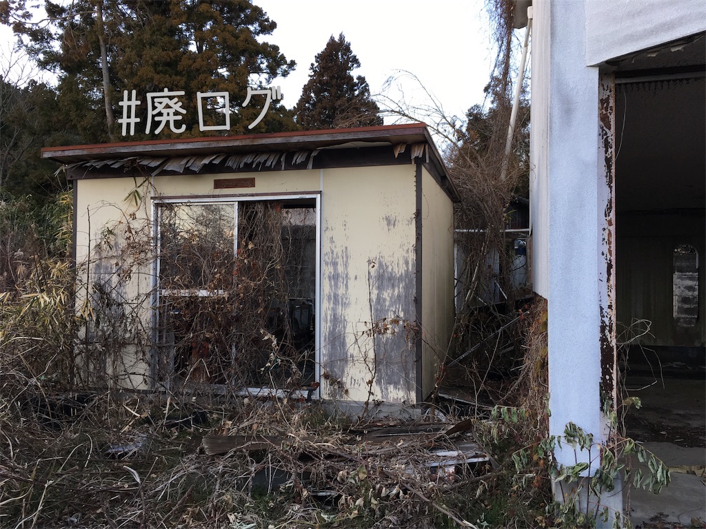 f:id:hiyapa:20190127214215j:image