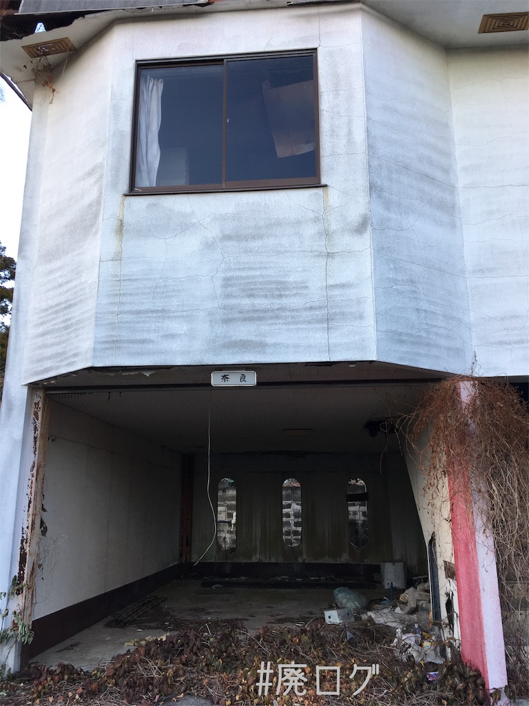 f:id:hiyapa:20190127214228j:image