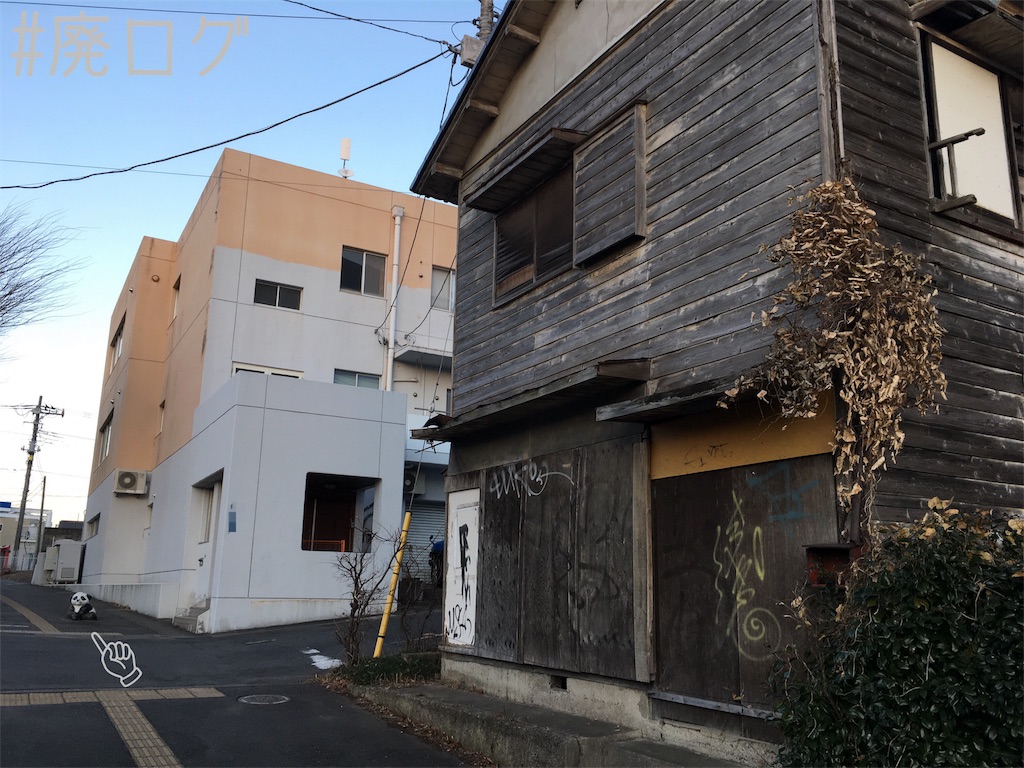 f:id:hiyapa:20190204202226j:image