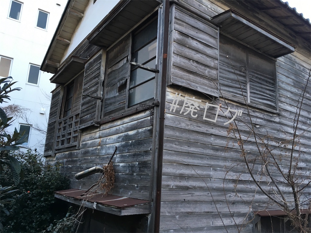 f:id:hiyapa:20190204203030j:image