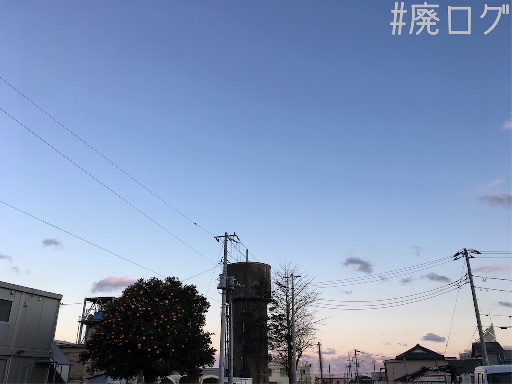 f:id:hiyapa:20190209204552j:image