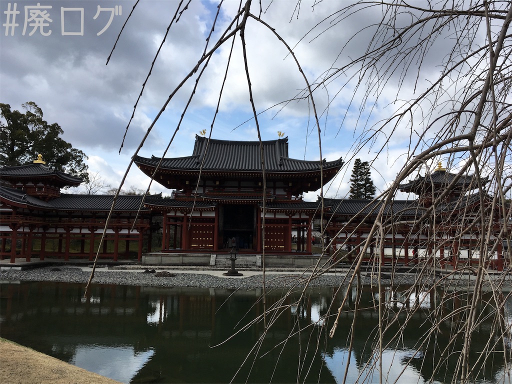 f:id:hiyapa:20190303200740j:image f:id:hiyapa:20190303200740j:image