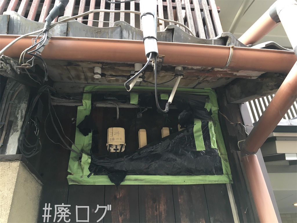 f:id:hiyapa:20190303200802j:image f:id:hiyapa:20190303200802j:image
