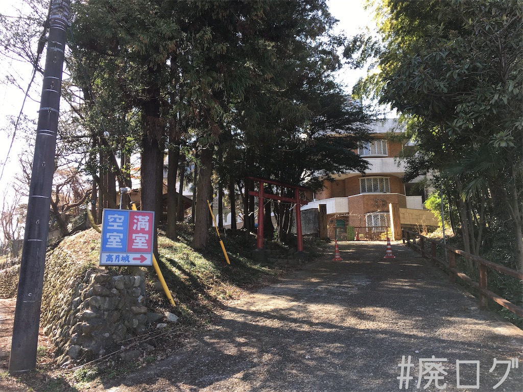 f:id:hiyapa:20190321193025j:image