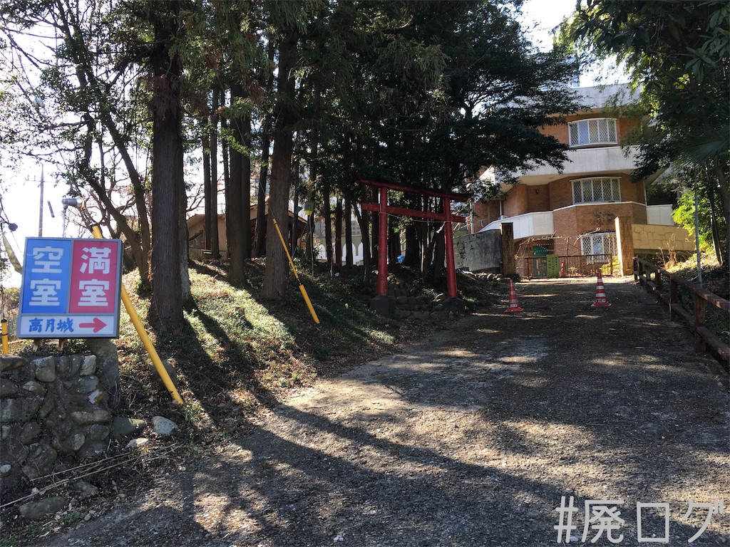 f:id:hiyapa:20190321193030j:image