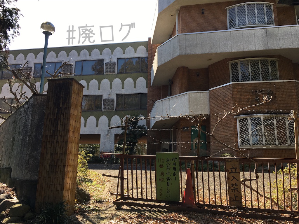 f:id:hiyapa:20190321193035j:image