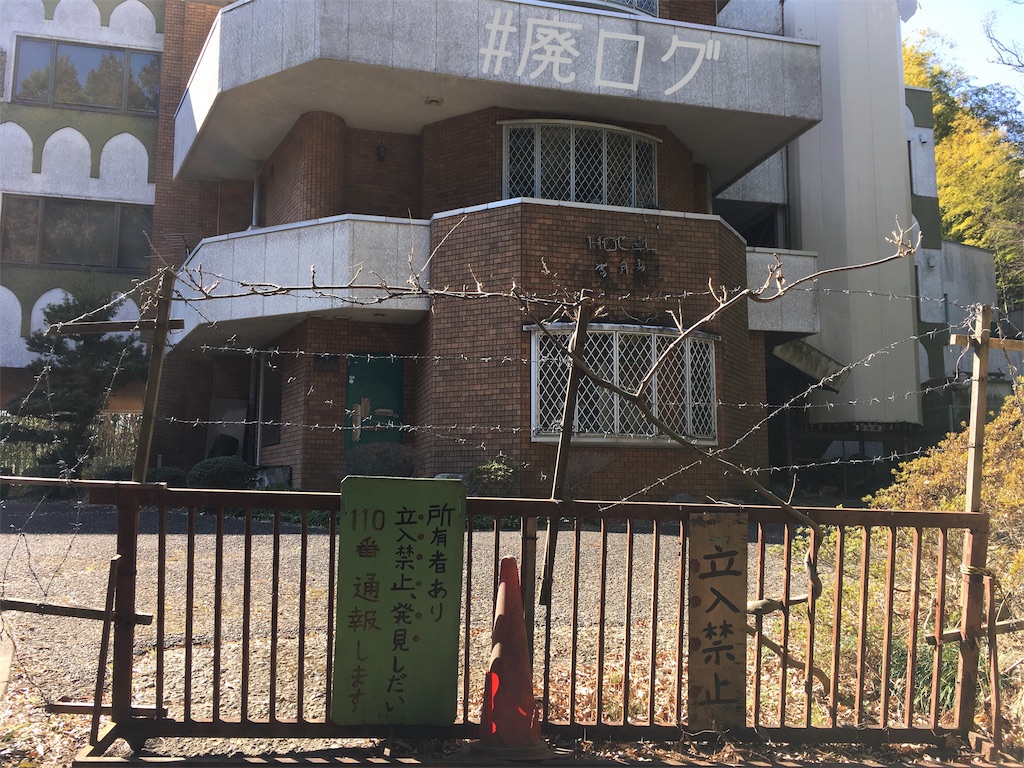 f:id:hiyapa:20190321193043j:image