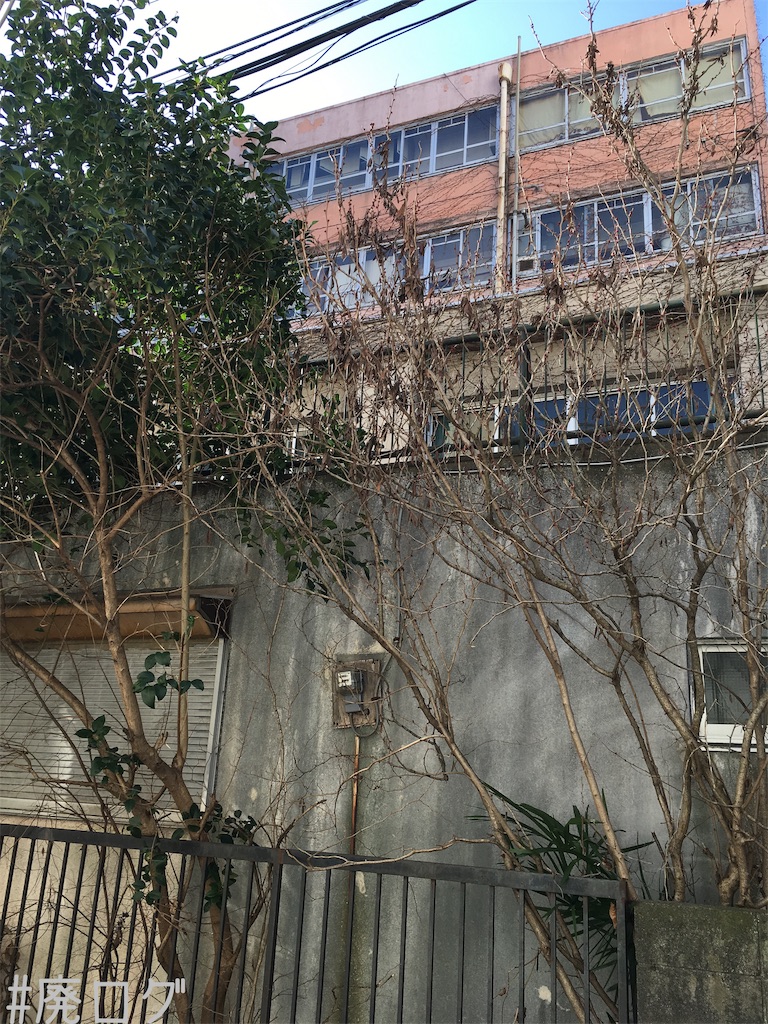 f:id:hiyapa:20190414190219j:image f:id:hiyapa:20190414190219j:image