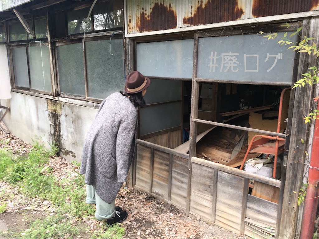 f:id:hiyapa:20190507223823j:image