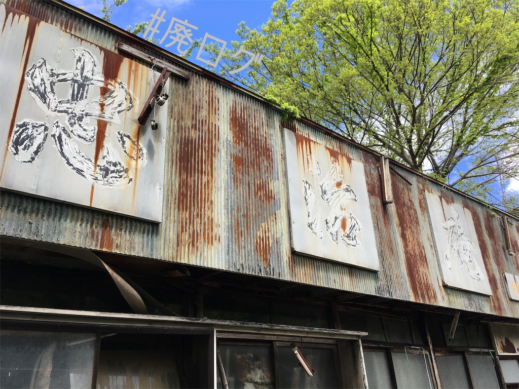 f:id:hiyapa:20190507223830j:image