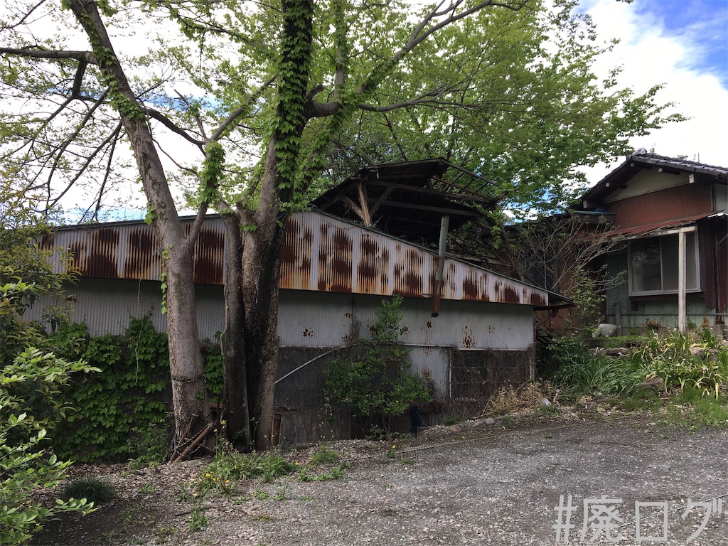 f:id:hiyapa:20190507223935j:image