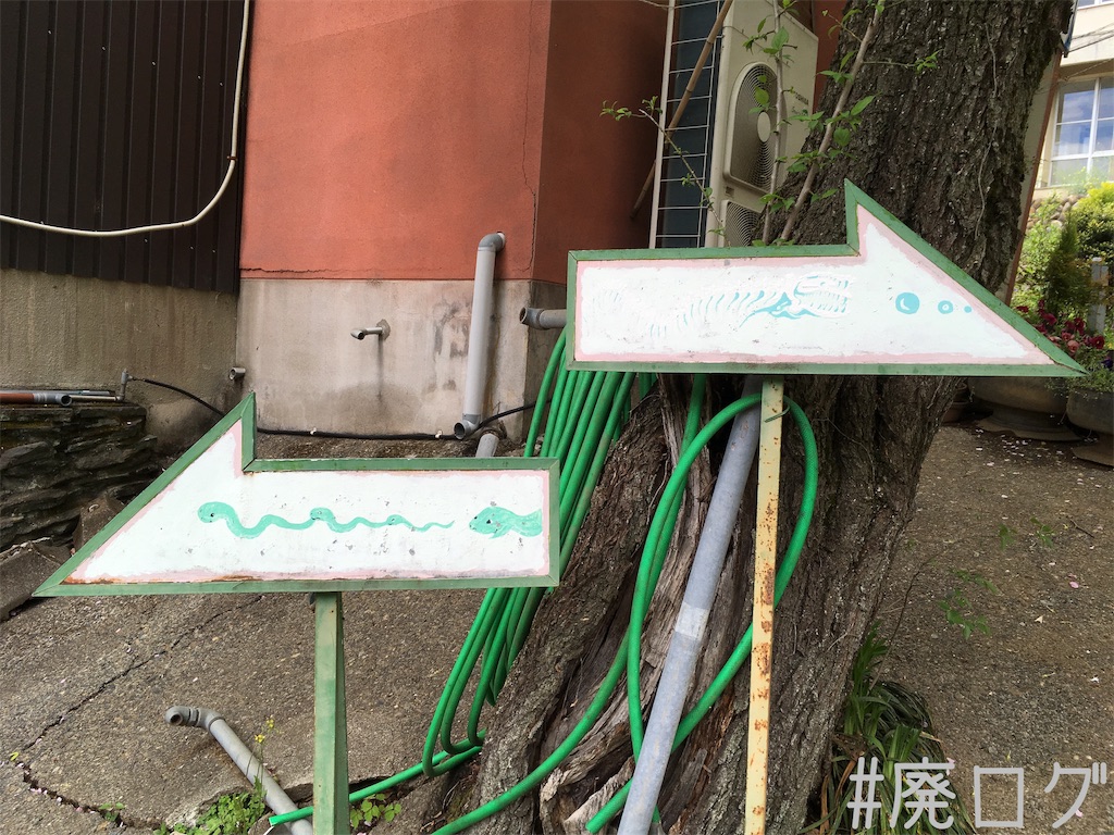 f:id:hiyapa:20190512185822j:image f:id:hiyapa:20190512185822j:image