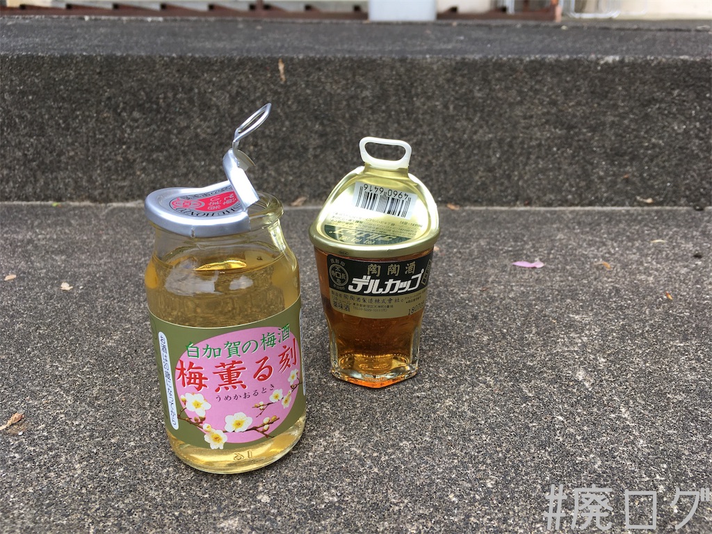 f:id:hiyapa:20190512185849j:image f:id:hiyapa:20190512185849j:image