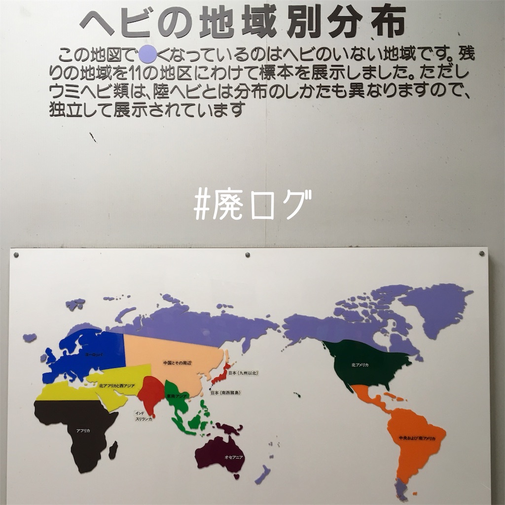 f:id:hiyapa:20190512185903j:image f:id:hiyapa:20190512185903j:image