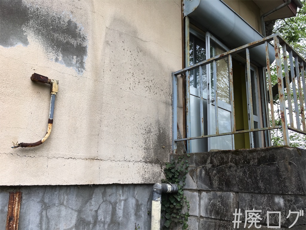 f:id:hiyapa:20190512195152j:image f:id:hiyapa:20190512195152j:image